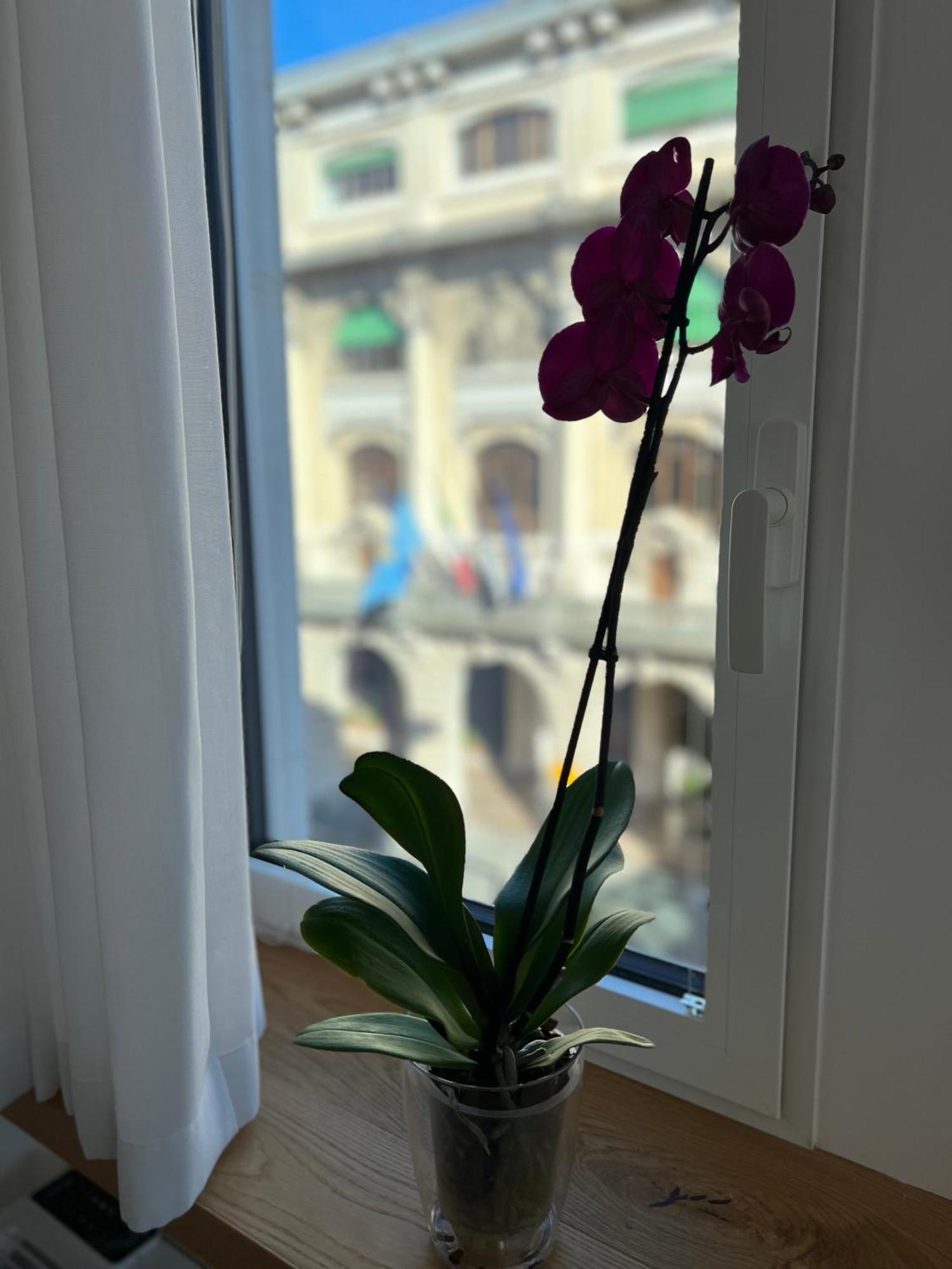 Conte Cavour Apartment Udine Exterior photo